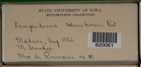 Image Associated With the Occurence